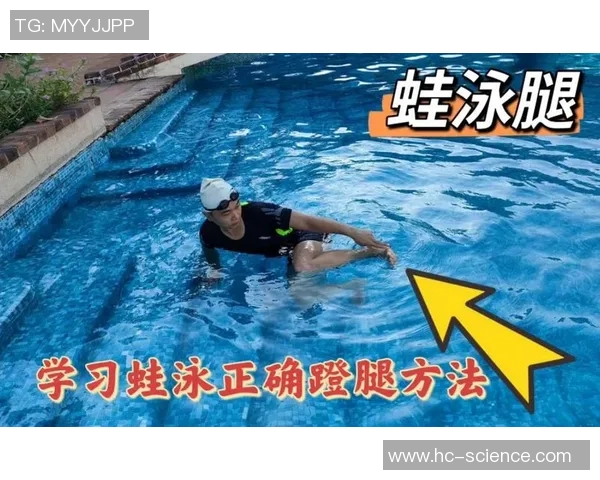 蛙泳技巧与训练方法全面解析，助你快速掌握标准蛙泳姿势